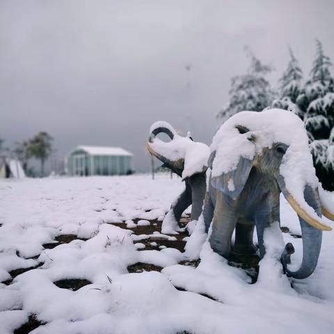 洺湖冬雪