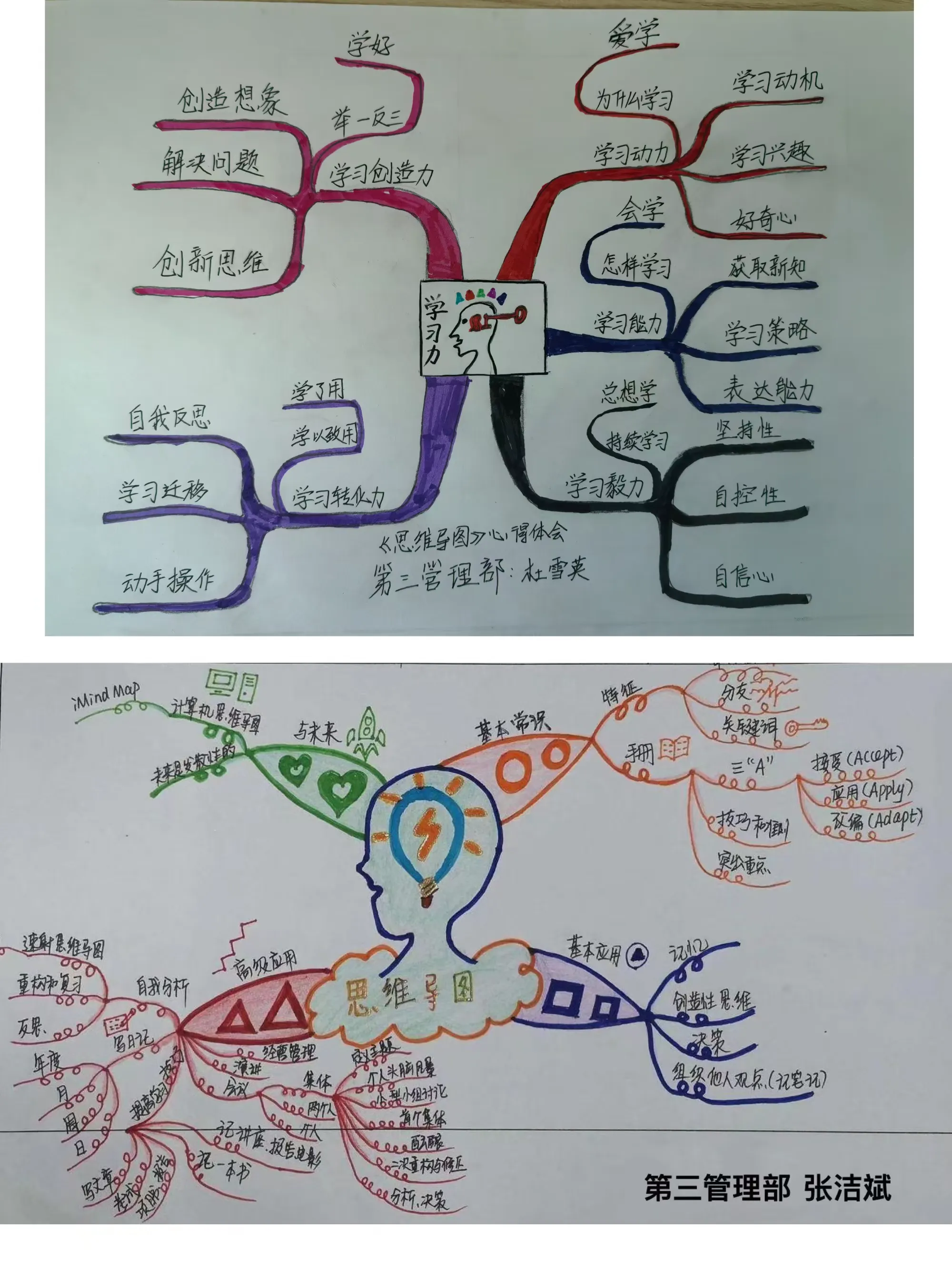 思维导图的特点包括图片