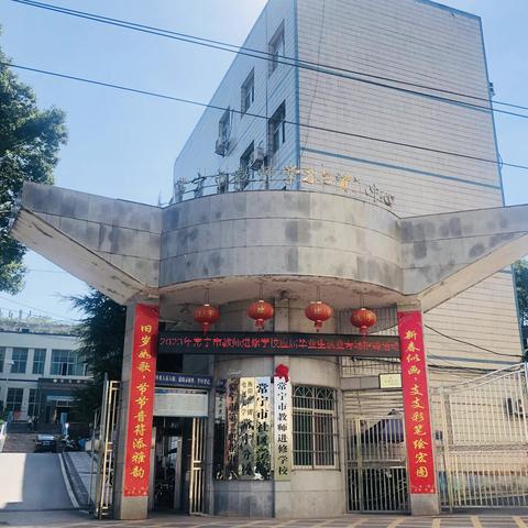 小荷才露尖尖角，且待时日绽芳华——2023年常宁市新教师定岗转正培训纪实