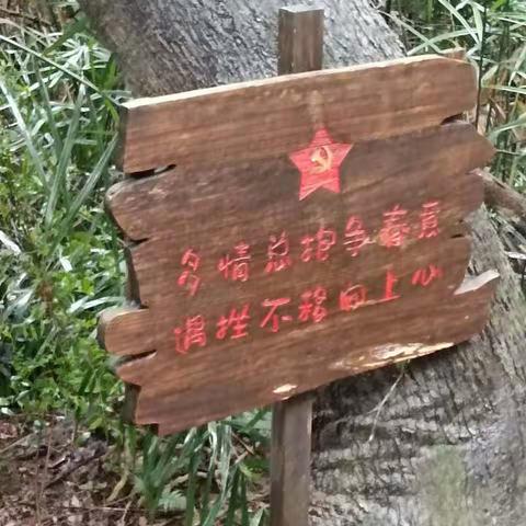 刘小小的文章