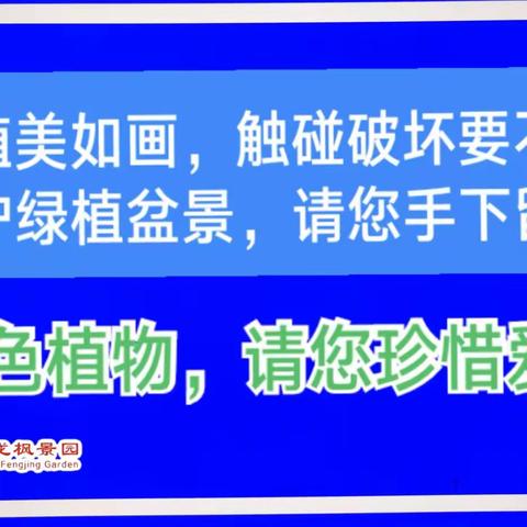 1.怡龙枫景园本月每个单元引进绿植盆景《发财树》，恳请每一位住户爱护它。 2.2023年11月1日新《深圳经济特区消防条例》开始执行，请住户遵守电动自行车管理，以免造成不必要的处罚。