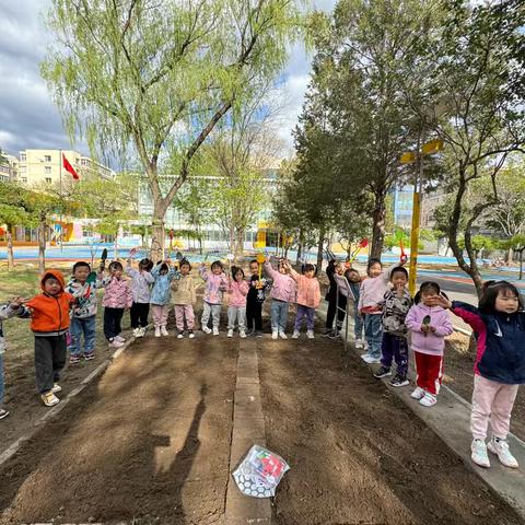 “小小种植园，快乐满心间”军幼种植记——中一班