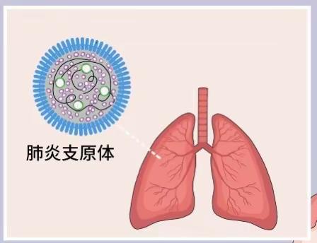 【卫生保健】“预防支原体肺炎、呵护幼儿健康”——云台中心幼儿园预防支原体肺炎知识培训