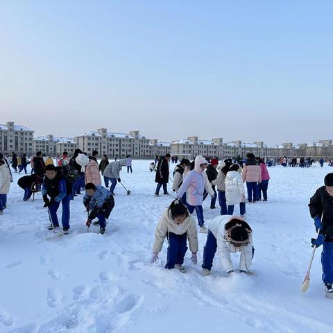 冰雪行动，以劳树德——六二班劳动教育纪实