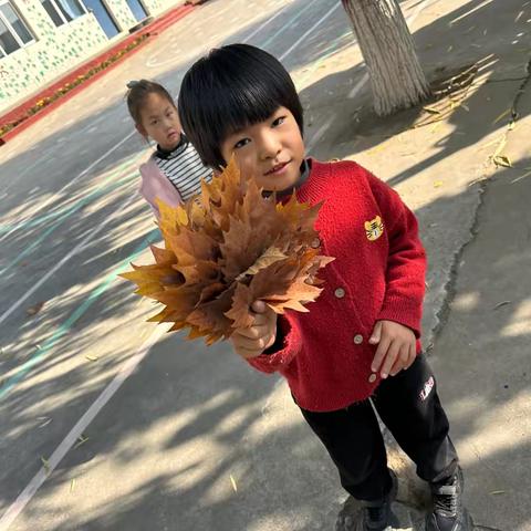 你好！ ‍    秋天的大自然 ‍杏山小学附属幼儿园-拾秋活动