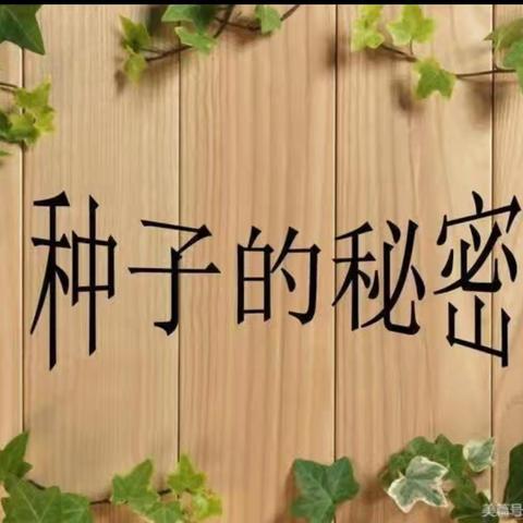 《hi～种子》——可丽中班·班本课程