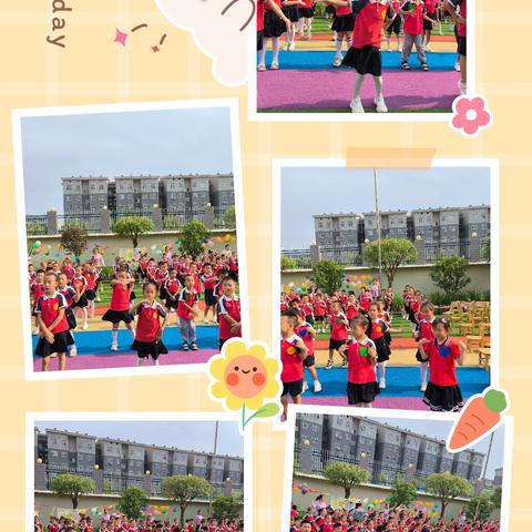 花开盛夏    逐梦未来