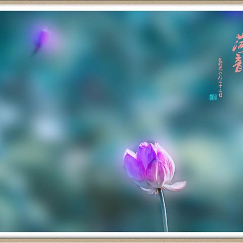 心向朝阳的文章