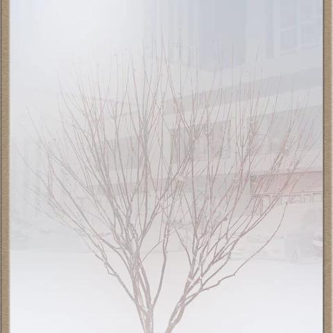 榴园雪景 2024  1  6