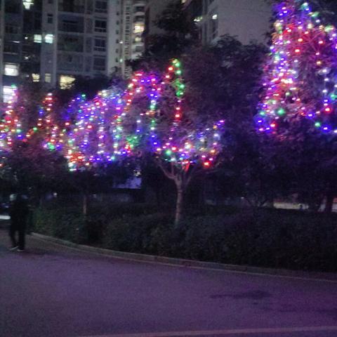 彩灯璀璨不夜城，小区装点迎新年