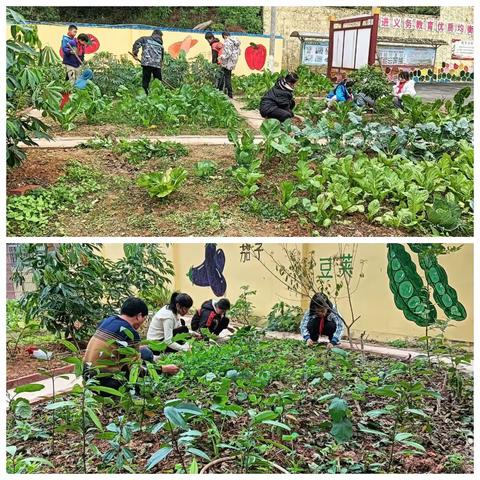 劳动教育励心智，实践锻炼促成长——东兴市马路镇竹围小学积极开发校本课程