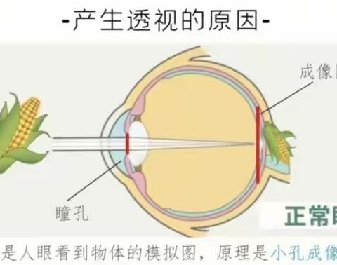 美术透视原理详解