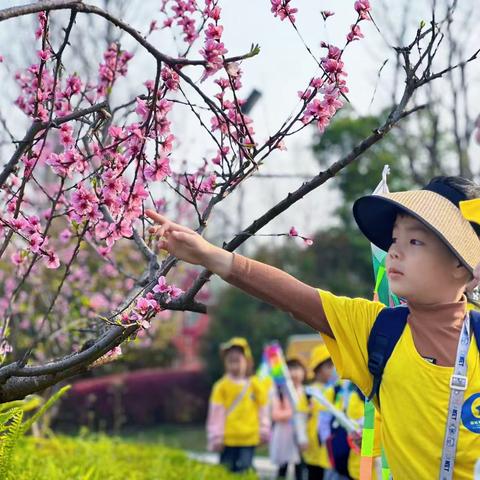 不负春光，童年“筝”好——崇礼幼儿园大班春游记