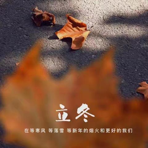 品立冬之韵，享劳动之乐 ﻿——北马中学家庭劳动教育