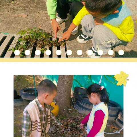 【班级传真】追寻秋的脚步 拾一片落叶——中三班主题活动