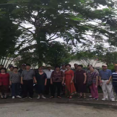 省、市统计局联合开展退休干部主题教育学习调研 暨“光荣在党50年”纪念章颁发活动