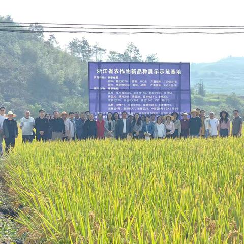 金华市农技推广与种子管理中心召开全市晚稻新品种现场观摩培训