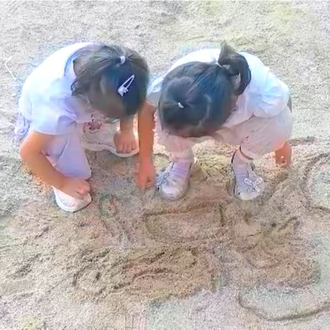 临沂西城实验学校幼儿园教研活动——“画”一个蚂蚁的“家”