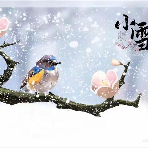 小雪到 冬始俏——武川县第二幼儿园二十四节气之小雪