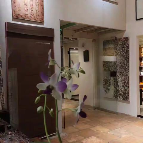 2024 凡音雅集【抚琴去~七年技痒】