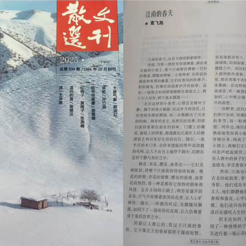 江南的春天 ‍         ——麦飞燕