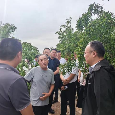郑商所一行调研温宿县红枣“保险+期货”项目 中华财险深度参与交流