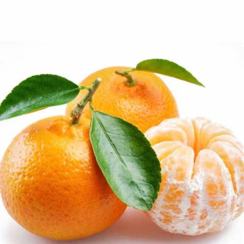 🍊橘子味的冬天🍊                          -----小二班班本故事