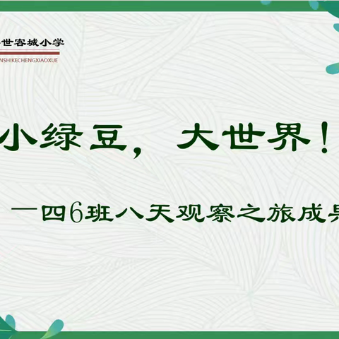 小绿豆，大世界！ 一一四6班八天观察之旅成果展