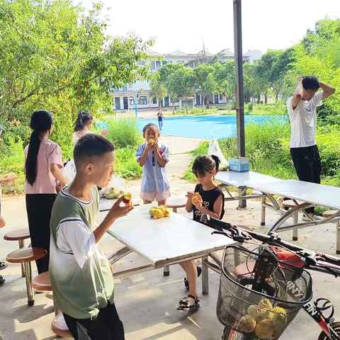 孩子们，校长喊你们来吃桃！