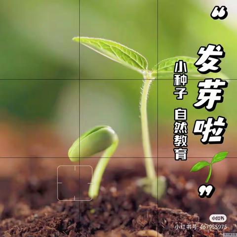 可爱的神墨娃娃们 🌱“种下美好 “植”得期待”🌷 🌿🌲☘️🍀🌴🌾