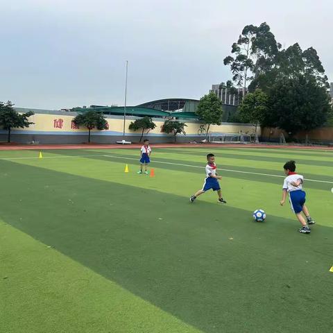 脚下生风，绿茵逐梦—— 花广金狮小学部足球社团