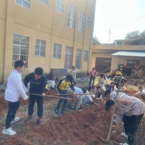 劳动最光荣，实践促成长——记洋迳小学劳动实践活动