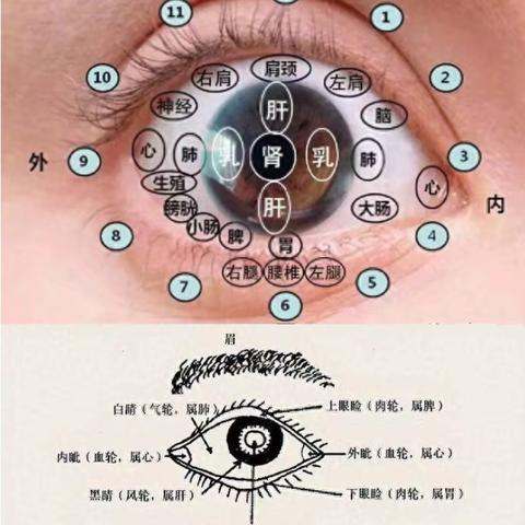 【家庭健康服务驿站】老中医面诊：从脸部五官看疾病，附高清图解！