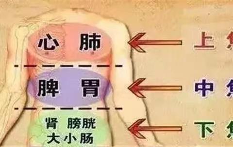 【家庭健康管理驿站】各种慢性病根源--三焦不通！打通三焦，通气血，调五脏，快看看你的三焦堵了没！