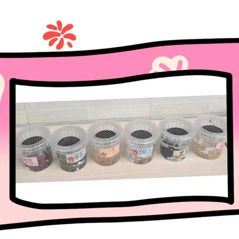 种子里的成长密码