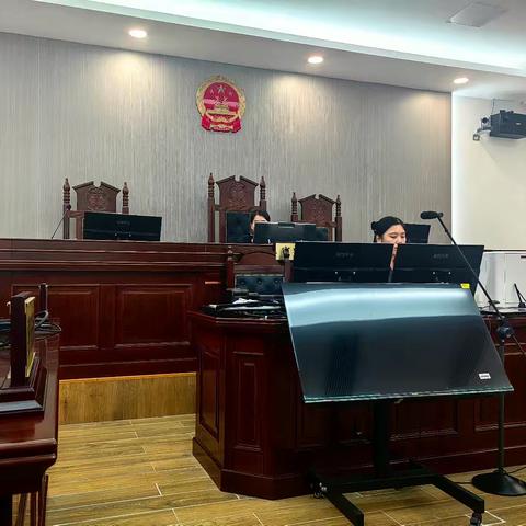 一次法庭旁听：斑马线前的急刹，藏着人身损害纠纷的温度与法理