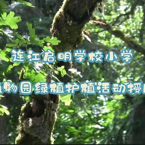 2023-2024学年连江启明学校小学植物园养护授牌仪式