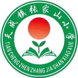 暑期安全讲堂——天成镇张家山小学交通安全专题教育