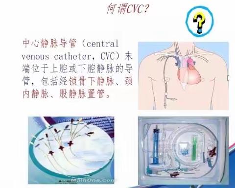 CVC的健康宣教