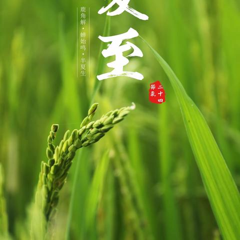 “夏至到  快乐至”——高陵区药惠中心幼儿园夏至活动纪实