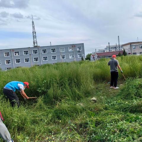 除草美家园 行动践初心