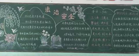 双合小学大力开展法治安全宣传教育活动