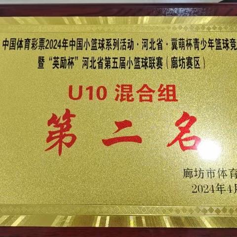 喜报！喜报！喜报！          固安县第三小学荣获廊坊市U10混合组第二名。