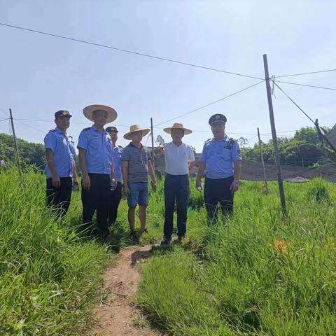 文儒镇依法拆除夏云村岭尾田冲牛蛙养殖场