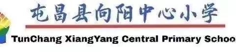 回首耕耘路 展望花开时——2023-2024学年度第二学期向阳中心小学二年级数学组教研活动总结
