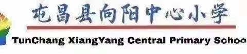 共研共思共成长 ---2024-2025学年第二学期一年级数学组教研活动总结