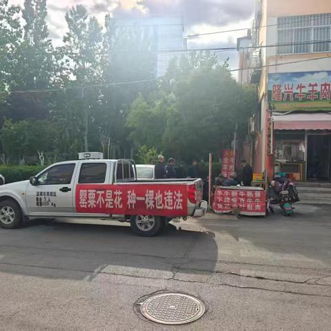 凤城街道开展禁种铲毒工作