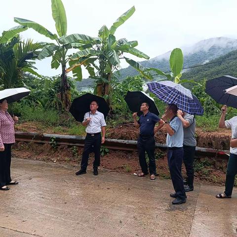 市政府副市长、区委书记黄兴武到扎南村检查防风防汛工作