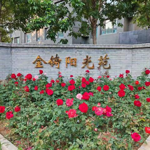 {万佳鑫物业}金铸阳光苑项目2026年7月工作月报