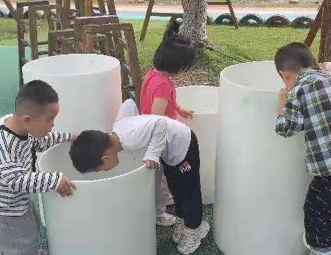 课程故事：让探索声声不息